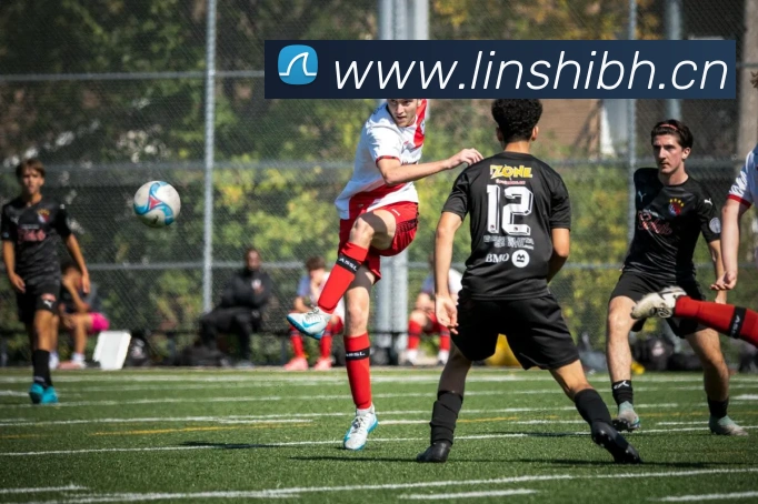 hth网页版登录入口APP 封面图